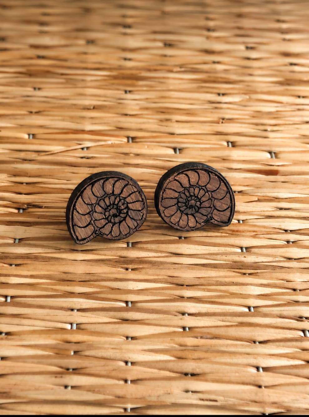 Walnut Wood Ammonite Stud Earrings