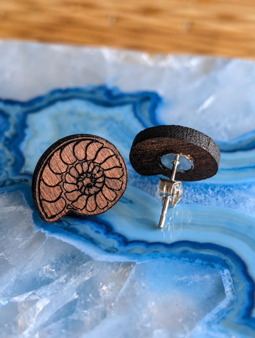 Walnut Wood Ammonite Stud Earrings